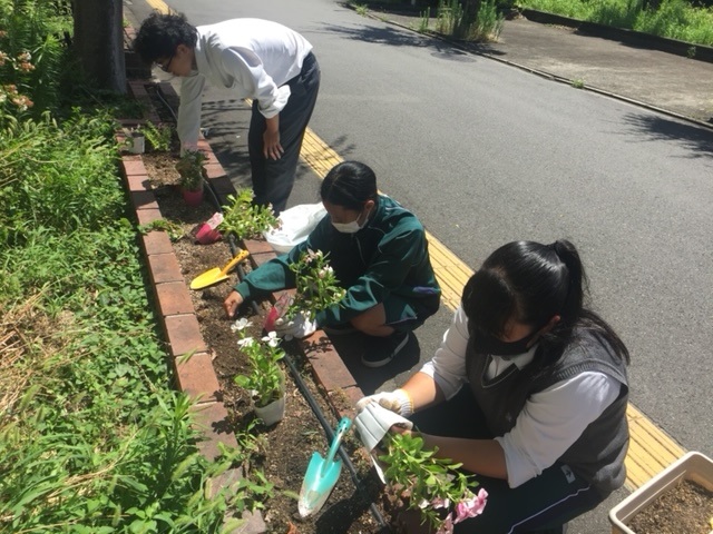 園芸部の様子